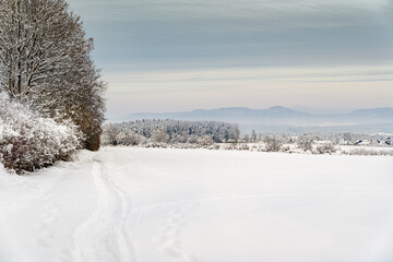 Winter Schnee Wald Feld Landschaft