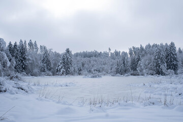 Winterwonderland auf dem Land