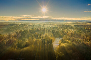 Naklejka na ściany i meble Wonderful foggy environmetal scenery - sunny aerial with the view over a wide forest, autumn moment in germany.