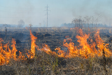 Burning dry grass over a large area