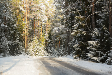 Landscape with a road in the winter forest