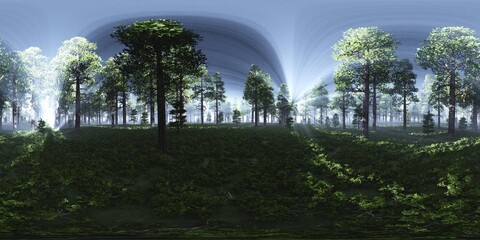 Trees in the fog, HDRI, environment map , Round panorama, spherical panorama, equidistant projection, panorama 360, Forest ,3d rendering