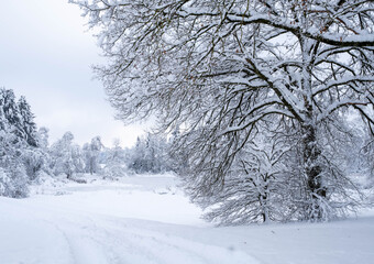 Winterwonderland auf dem Land