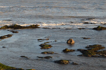Overlooking St Monans Harbour and Town, East Neuk of Fife, Scotland