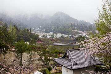 High angle shot of hills and buildings in a park on a foggy day in Miyajima, Japan