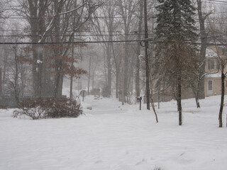 Fototapeta premium suburban neighborhood during a snow storm in winter