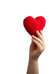 Obraz premium Child hand holding a red heart, white background. healthy life and love conce
