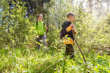 Naklejka na ściany i meble Children walking in green forest with hiking sticks. Concept of kids vacations and travel