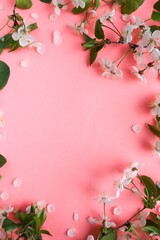 postcard layout. springtime. blossoming cherry branch and space for text. congratulation. invitation