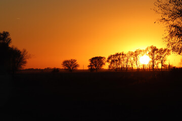 Nebraska sunset behind trees and over fields
