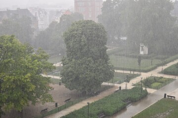 Heavy rain over a park in a city