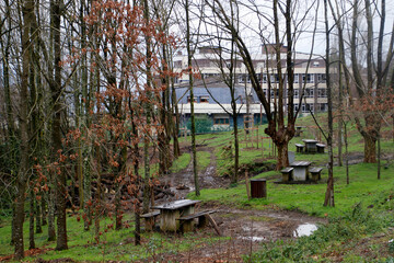 Vegetation in the suburbs of a city