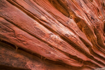 Rock pattern in a sandstone canyon