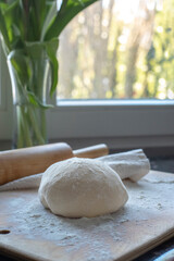 Fresh pasta dough on wooden cutting board