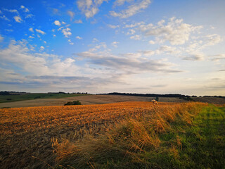 Abendstimmung auf dem Sand in Unkeroda