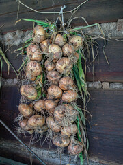 Food, Poland