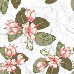 Seamless pattern Pink Ylang-ylang flowers on abstract  background.Vector illustration hand drawing.For used wallpaper design,textile fabric or wrapping paper.