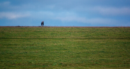 two distant walkers on the horizon