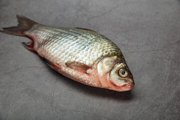 Carp fish not cleaned of scales on a gray mottled background