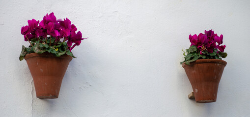 Two pots with flowers at a white wall. Córdoba, Spain.