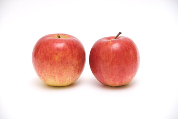 りんご　サンフジ