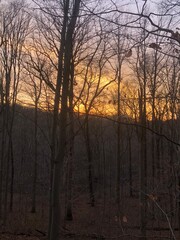 sunrise over the river