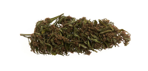 Fototapeta premium Marijuana bud cannabis over isolated white background.