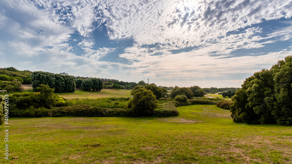 Canvas Prints Horizontal shot of the Porto City Park in Portugal. Plain ground with thick trees