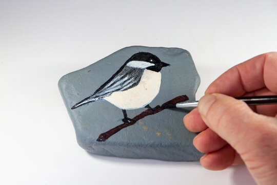 Hand painting rock with bird image, chickadee