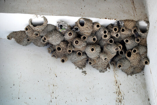 Low Angle View Of Mud Shelter