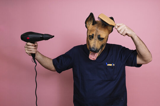Young man in a latex dog head mask holding a hairbrush and hairdryer on a pink background - Powered by Adobe