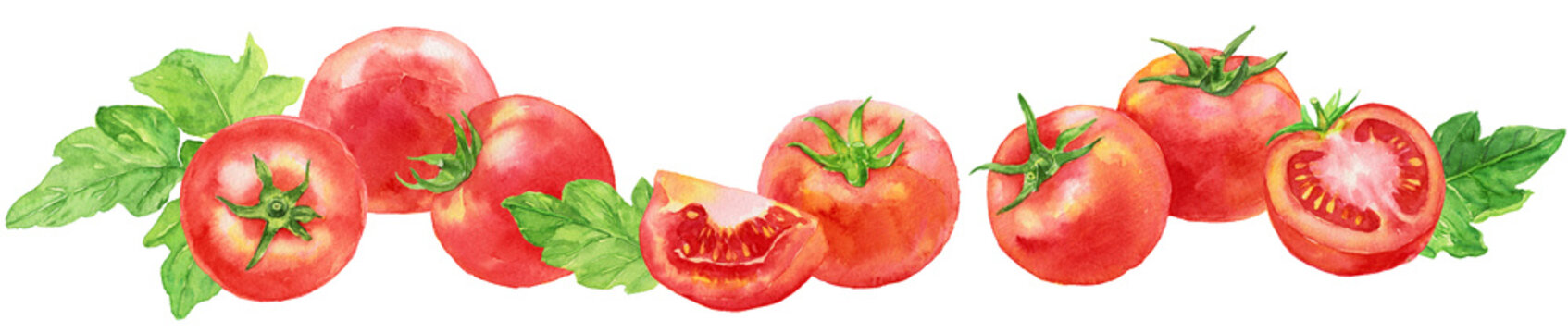 たくさんのトマト　トマトの葉　横並び　水彩