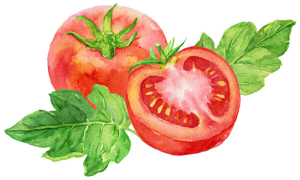 トマトと半分のトマト　トマトの葉　水彩
