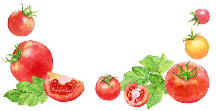 トマト　トマトの葉　カラフルなミニトマト　下部フレーム　水彩画