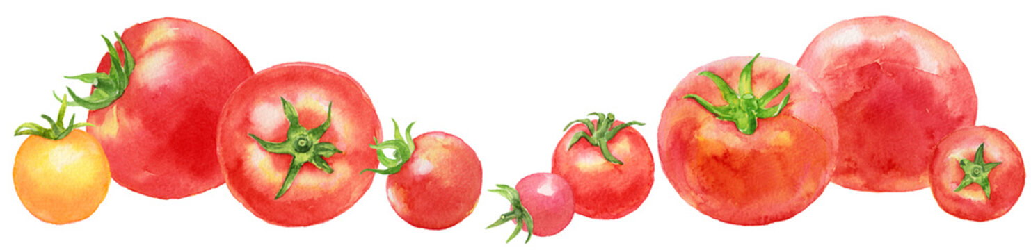 大きなトマトと小さなトマト　横並び　水彩画