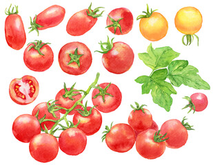 たくさんのミニトマト　素材集　水彩画