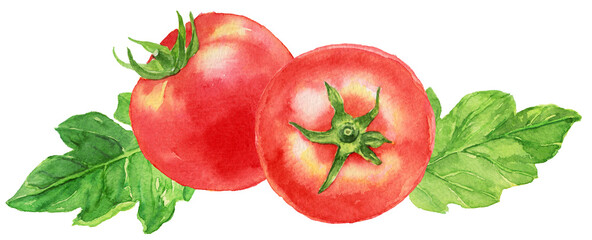 トマト　２個　トマトの葉　水彩画
