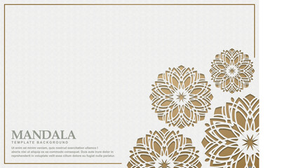 Luxury white mandala background concept