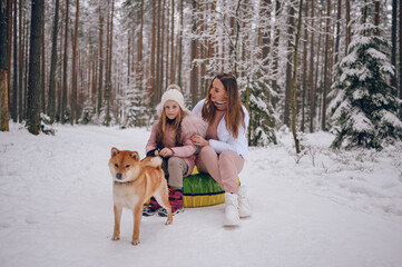 Happy mother and little cute girl in pink warm outwear walking having fun rides inflatable snow tube with red shiba inu dog in snowy white winter forest outdoors. Family sport vacation activities