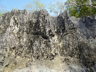The Rock close-up in Tsingy de Bemaraha Strict Nature Reserve