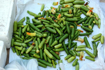 many of zucchini's collected from the new field on the white blanket on the ground. green pumpkins ready to sell on bazaar