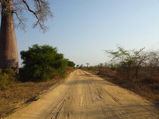 The uneven dirt road in Madagascar