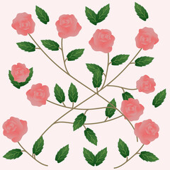 illustration of cut roses and leaves