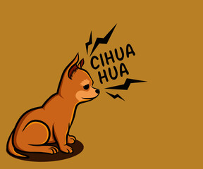Cihuahua cute dog