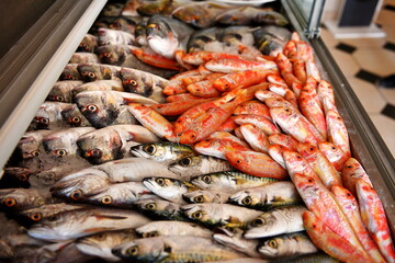 Small fishes standing on the counter. fish in the fish restaurant. Horse mackerel,  whiting. fishing season started. Increases in fish prices



