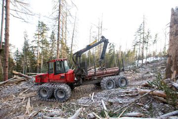 Fototapeta na wymiar Deforestation. A modern red harvester cuts down conifers on a steep mountainside. Heavy logging equipment works in the taiga in winter.