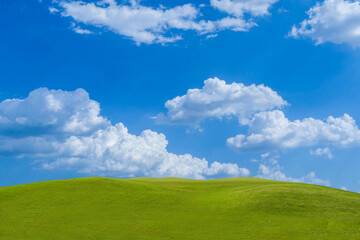 Green grass field on blue sky with cloud background. Green meadow under blue sky with clouds.
