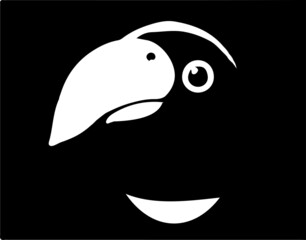 parrot vector illustration isolated on background