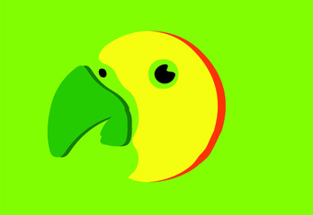 parrot vector illustration isolated on background