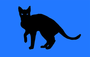 cat vector isolated on background